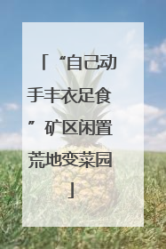 “自己动手丰衣足食”矿区闲置荒地变菜园